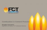 Combustion in Cement Process - semtecimento.com.br · 2 FCT Group Company facts • Founded 35 years ago • Large experience in Cement, as well as Lime and Minerals • Worldwide