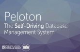 Peloton: The Self-Driving Database Management Systempavlo/slides/selfdriving-may2016.pdf · 2020. 3. 19. · TPC-C Workload – MySQL (v5.7) PDL Database News 18 . 19 Deduplication