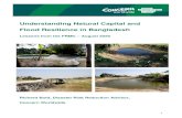 Understanding Natural Capital and Flood Resilience in Bangladesh · 2020. 9. 2. · flood resilience that can yield sustainable interventions in a way that can be quantified, measured,