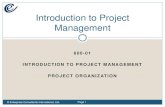 Introduction to Project ManagementProject Large Project Very Large Project CAT SHEEP HORSE ELEPHANT WHALE Issues: Ease of information manipulation & speed of flow Consistency & accuracy