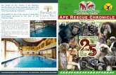 Charity No. 1126939 A RESCUE CHRONICLE€¦ · In August 2011 we released our first gibbons back to continuous forest. Since the initial rescue of the gibbons in 2008, they had health