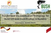Feasibility of Bio-Gasification Technology for Rural Off ...bush.nust.na/sites/default/files/bushsymposium2019... · Ankur Scientific Energy Technologies Pty. Ltd Downdraft fixed