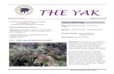 THE YAK · The Yak September 2018 Page 11 Spotted Around the Neighbourhood Bushtit Nest Bushtits are sprightly, social songbirds that twitter as they fly weakly between shrubs and