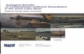 Ecological Benefits of Contqminated Sedimgnt Remgdiation ... · sediment remediation. Good examples of this include the Welland River project (Ontario), the settlement under the Natural