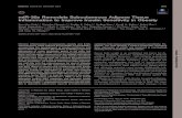 miR-30a Remodels Subcutaneous Adipose Tissue ......miR-30a Remodels Subcutaneous Adipose Tissue Inﬂammation to Improve Insulin Sensitivity in Obesity Eun-Hee Koh,1,2 Natasha Chernis,1,3