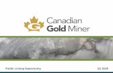 Public Listing Opportunity Q1 2020 · NW Ontario, 2013 Discovery of the Year Marc Idziszek, M.Sc. P.Geo. | VP Exploration 15 years exploration experience in North America and West