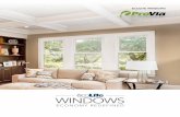 WINDOWS - ProVia · Choose from two different types of privacy glass if you need light to filter in, yet want to maintain privacy. These glass styles look great in bathrooms or any