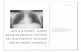 Anatomy and Malformations in patient with dextrocardiadspace.sctimst.ac.in/jspui/bitstream/123456789/10734/1/6796.pdf · ANATOMY AND MALFORMATIONS IN PATIENT WITH DEXTROCARDIA . Suyash