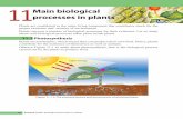 11processes in plants Main biological · 2017. 1. 23. · 48 Science | Main biological processes in plants Science | Main biological processes in plants 49 Let us do Activity 11.1