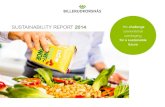 Strong, sustainable and attractive SUSTAINABILITY REPORT ... · BILLERUDKORSNÄS SUSTAINABILITY REPORT 2014 MARKET 3 Four market segments NET SALES BY REGION Europe 73% (74%) Asia