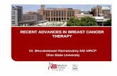 RECENT ADVANCES IN BREAST CANCER THERAPY...CLEOPATRA Placebo Trastuzumab 6mg/kg qTrastuzumab 6mg/kg q 3 weeks Docetaxel 75 mg/m2 q 3 k R A HER2 MBC N P t b 420 3 wee s D O M HER2+
