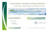 Stormwater Quality Funding Initiative · Initiative Overview page 2 ... Brief – “safe, clean, healthy water” focused; color information item Methodology – Mail Survey page