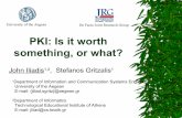 PKI: Is it worth something, or what? · PKI: Is it worth something, or what? 1Department of Information and Communication Systems Engineering University of the Aegean E-mail: {jiliad,sgritz}@aegean.gr