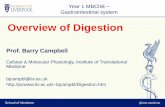 Overview of Digestionbjcampbl/Lecture 1 - Introduction to Digesti… · DIGESTION. SCHEMATIC REPRESENTATION OF MAIN REGIONS OF THE GASTROINTESTINAL TRACT Oesophagus Stomach duodenum