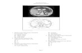 Sectional Anatomy Abdomen Practice Problemsjadedoro.weebly.com/uploads/1/1/1/0/111076513/abdomen... · 2018. 12. 2. · Sectional Anatomy Abdomen Practice Problems Page 1 1. Which