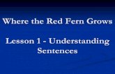 Where the Red Fern Grows - pharaohs-institutes.compharaohs-institutes.com/Tourism/attachments/TELS/english-rules-les… · Where the Red Fern Grows Lesson 1 - Understanding Sentences