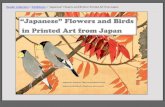 Reader Collection > Exhibitions > “Japanese” Flowers and ...readercollection.com/x8 Japanese Flowers and Birds.pdfJapanese paradise-flycatcher (Terpsiphone atrocaudata) by Tōshi