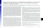 Systematic discovery of regulatory motifs in conserved ...web.mit.edu/manoli/www/publications/Xie_PNAS_07_CNEmotifs.pdf · LM4 GCCTGCTGGGAGTTGTAGTT 3 143 26.3 59.2 LM5 AACTCCCATTAGCGTTAATGG