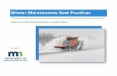 Winter Maintenance Best Practices · 1 INTRODUCTION Salt can have an adverse effect on nearby environments and groundwater sources. MnDOT seeks to reduce the use of salt on roadways,