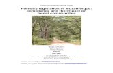 Forest Governance Learning Group Forestry legislation in Mozambique ...€¦ · Forestry legislation in Mozambique: compliance and the impact on forest communities Rouja Johnstone
