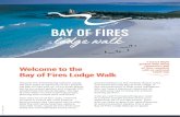 4 Day/3 Night Welcome to the Bay of Fires Lodge Walk · 2020. 9. 7. · 4 Day/3 Night guided walk along . Tasmania’s Bay of Fires coastline with an optional kayak day. V3.0 –