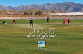 Críquet - Desert Springs Resort | Family, Leisure, Golf · Campamento de Críquet de la Universidad Trent Esta ha sido mi primera visita a España. Desert Springs tiene unas instalaciones