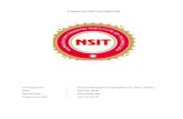 Fair Organizer : Automobile Engineering Department, NSIT, … Fair.pdf · Samir 120340102039 Ankit Vora Kassa 120340102056 Raj Shah Abstract: Our project is to design, build & fabricate