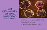 Cell differentiation cell cycle, proliferation, and death€¦ · replication to once per cell cycle by helicase complexes. Regulators of cell cycle Cyclins are proteins that accumulate