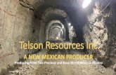 Telson Resources Inc.s22.q4cdn.com/542568401/files/doc_presentations/TSN... · 2019. 11. 5. · 1.31. 37.59: 0.27. 1.34: 2.44. 16 Two cut-offs were used to tabulate the gold, silver,