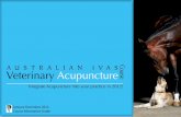 AUSTRALIAN IVAS Veterinary Acupuncture - CIVT · n A subscription to AVAG for 2012 n A subscription to IVAS for 2012 n A subscription to CIVT for 2012 Please note that some dates