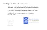 Principles and Applications of Effective Coalition ...Building Effective Collaborations •Principles and Applications of Effective Coalition Building •Teaching to Increase Diversity