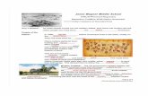 Mr. Van Schenck's Webpage · 2018. 9. 1. · Expansion Conflicts With Native Americans massacre at Wounded Knee Why It Matters— As white people moved into the western states, they