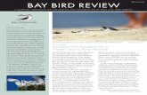 Spring 2o14 BAY BIRD REVIEW - San Francisco Bay Bird ...our staff are taking on new responsi-bilities. Our waterbird research and associated staff are growing, thanks to increased