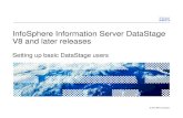 InfoSphere Information Server DataStage V8 and later releasespublic.dhe.ibm.com/software/data/support/im/ste/SupportTechnical... · • DataStage user does not belong to DataStage