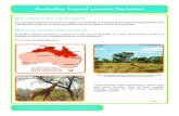 Australian tropical savanna factsheet Australian tropical savanna factsheet ... Mean 35.9 35.0 35.5