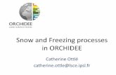 Snow and Freezing processes in ORCHIDEE · Water flow and radiative transfer between layers (no vs. yes) New snow fraction and albedo parametrization Snow impacts on roughness length