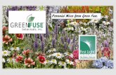 Perennial Mixes from Green Fuse. · 2020. 6. 12. · Our First Light® Perennial Compatibles® have been carefully selected to have matching habits, crop culture and most Important