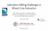 Laboratory Milling Challenges in Wheat Crop Evaluation · Flour Data Unit and Basis 80 75 70 65 60 Moisture (%) as-is 14.13 14.06 13.81 13.86 13.95 Ash (%) 14% moisture basis 0.530