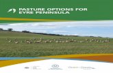 PASTURE OPTIONS FOR EYRE PENINSULA · and which seem to best fit the areas where farming ... Finding alternative pastures, both annual and perennial will provide greater choice and