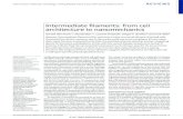 Intermediate filaments: from cell architecture to ...129.173.120.78/~kreplak/wordpress/wp-content/... · Intermediate filaments: from cell ... environment, microfilaments can be complexed
