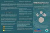 MANAGEMENT GROUP DAMPIER PENINSULA ... - Dinosaur Coast · Along most of the Dinosaur Coast dinosaur tracks occur in Broome Sandstone, in the intertidal zone. Because of this the