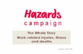 The Whole Story Work-related injuries, illness and deaths · 2018. 8. 17. · The Whole Story In 2016 the HSE presented a ‘comprehensive’ information package of its statistics,