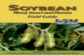 Soybean… · Weed, Insect and Disease Field Guide Soybean Funded by the Louisiana Soybean and Grain Research & Promotion Board