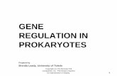 GENE REGULATION IN PROKARYOTES - WordPress.com...5 Gene regulation in eukaryotes Produces different cell types in an organism or cell differentiation All of the organism’s cells