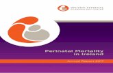 Perinatal Mortality in Ireland - University College Cork · 2019. 11. 22. · Groups in the Republic of Ireland. Figure III: NPEC Data Collection and Management Processes. Figure
