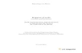 Rapport d’audit (version préliminaire) · Audit institutionnel, organisationnel et fonctionnel du secteur de l'éducation du Bénin Page i Rapport d'audit - Version préliminaire