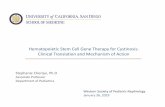 Hematopoietic Stem Cell Gene Therapy for Cystinosis ...s770312771.onlinehome.us/Presentations/Cherqui2019.pdfMechanism of Action: in vitro studies NanotubularHighways for Intercellular
