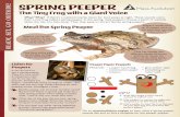 The Tiny Frog with a Giant Voice - Mass Audubon · The Tiny Frog with a Giant Voice Peep! Peep! If there’s a wetland nearby, listen for loud peeps at night. These sounds come from