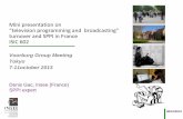 Mini presentation on “television programming and broadcasting” … · 2018. 3. 15. · Voorburg Group Tokyo 2013 TV programming and broadcasting SPPI 08/10/2013 Pricing unit of