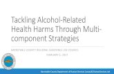 Tackling Alcohol-Related Health Harms Through Multi ......Feb 02, 2017  · Selected US Data on Alcohol, 2015 (From the Surgeon General’s Report of 2016) • 10% of deaths among